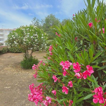 Praia Eulalia With Pool And 5 Minutes From The Beach Albufeira Ngoại thất bức ảnh