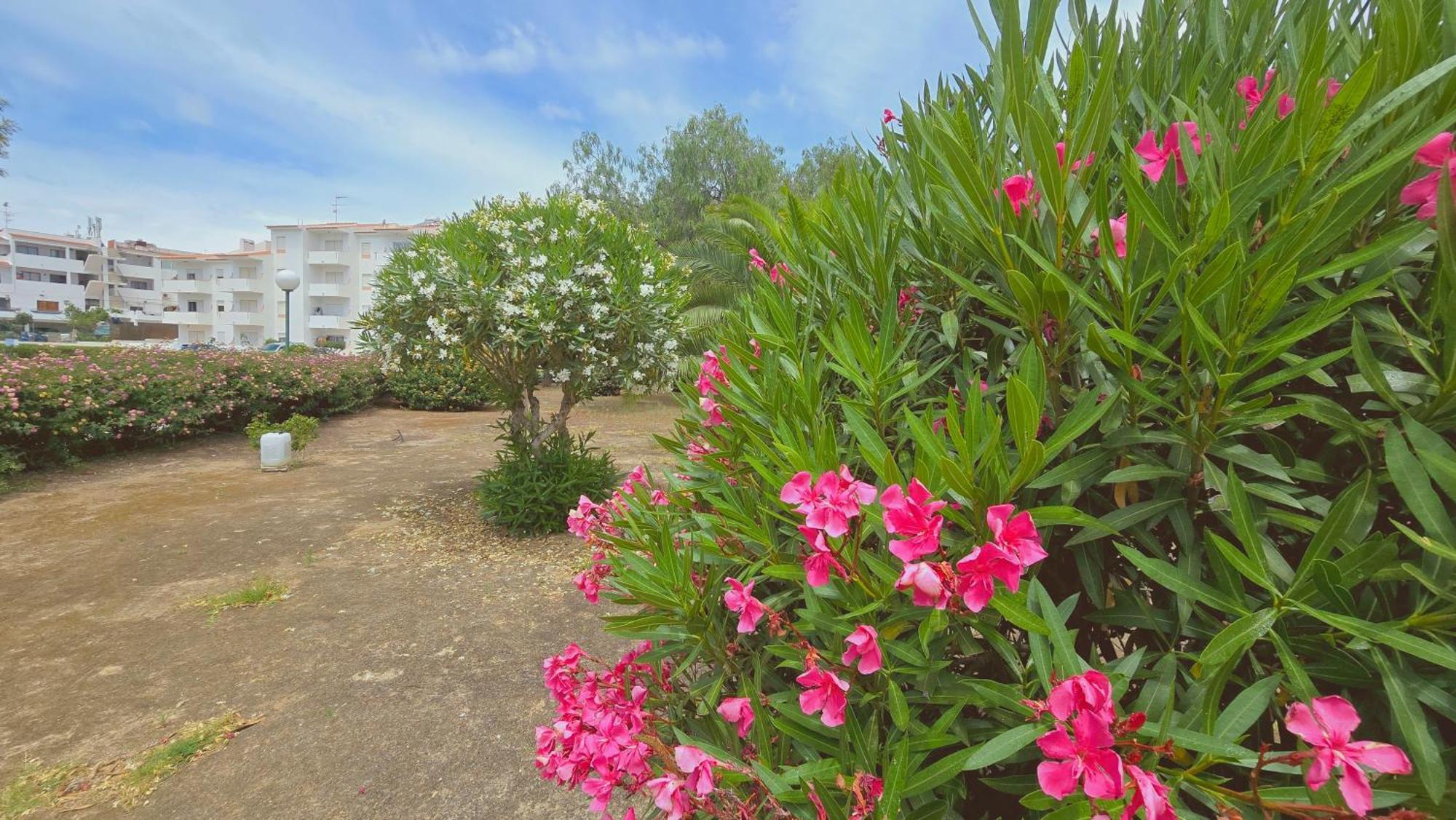 Praia Eulalia With Pool And 5 Minutes From The Beach Albufeira Ngoại thất bức ảnh