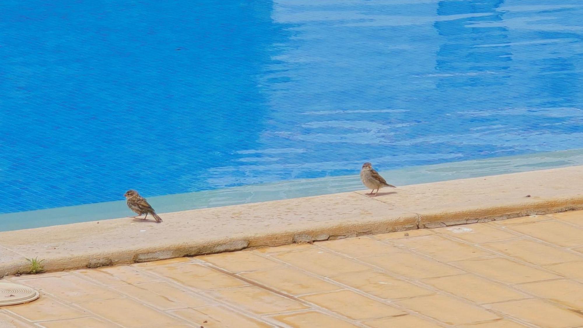 Praia Eulalia With Pool And 5 Minutes From The Beach Albufeira Ngoại thất bức ảnh