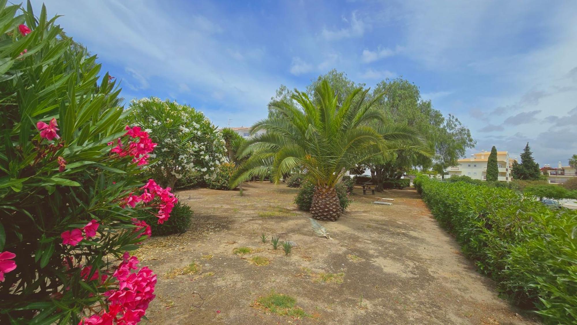 Praia Eulalia With Pool And 5 Minutes From The Beach Albufeira Ngoại thất bức ảnh