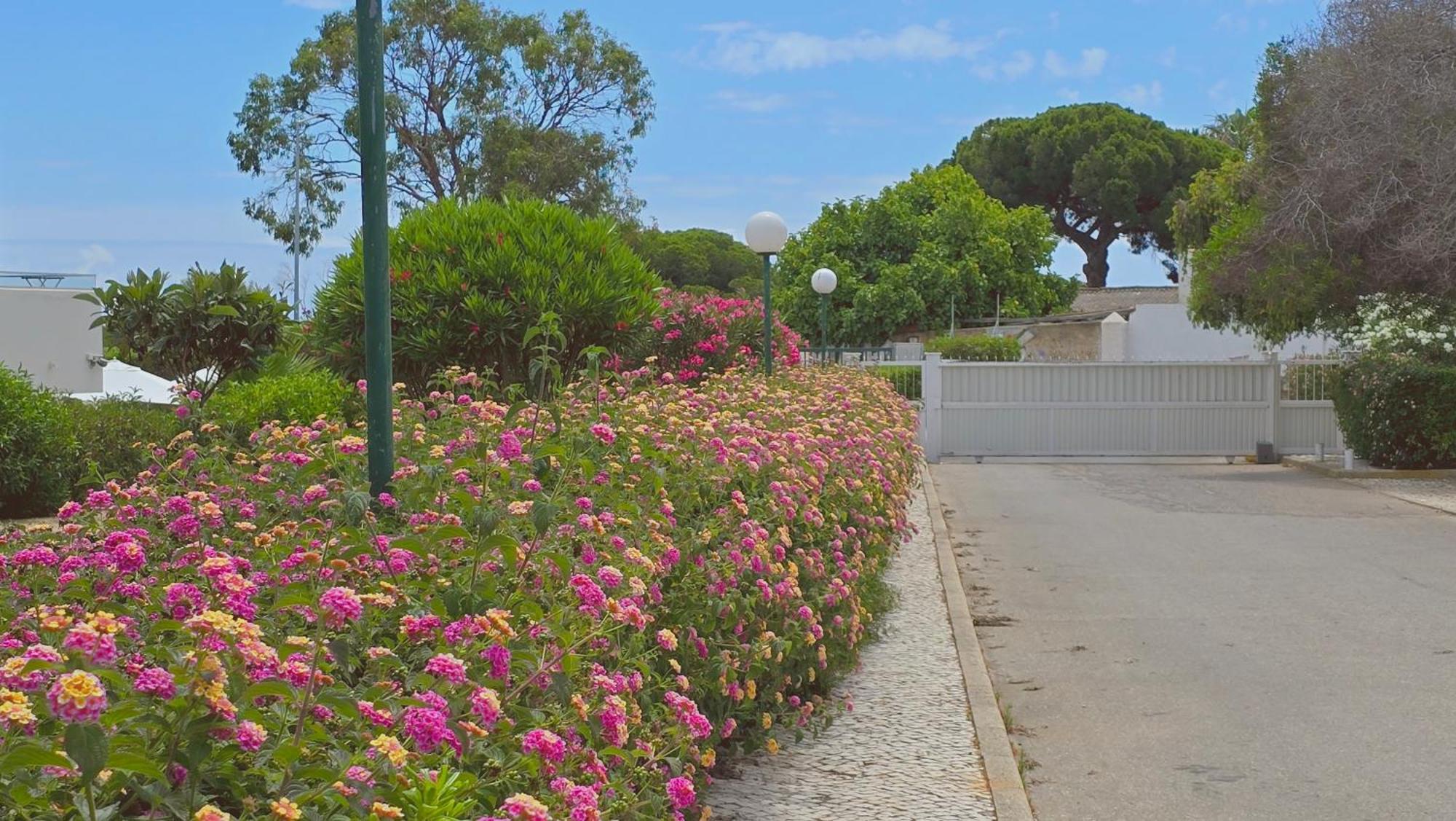 Praia Eulalia With Pool And 5 Minutes From The Beach Albufeira Ngoại thất bức ảnh